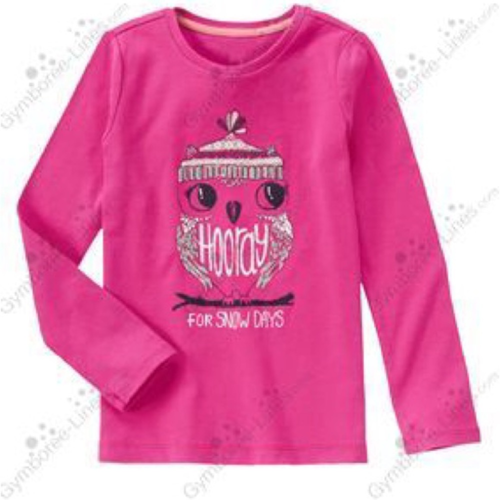 NWT Gymboree Snow Day Pink Owl Kids Shirt